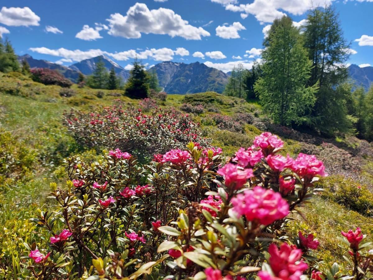 Haus Edelweiss Spiss Bei Samnaun Esterno foto