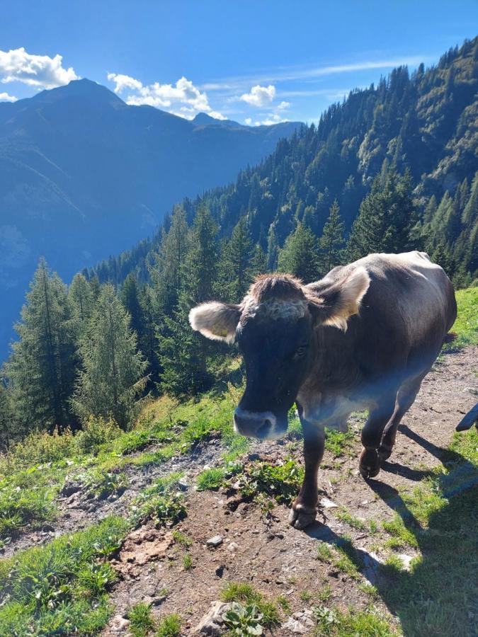 Haus Edelweiss Spiss Bei Samnaun Esterno foto